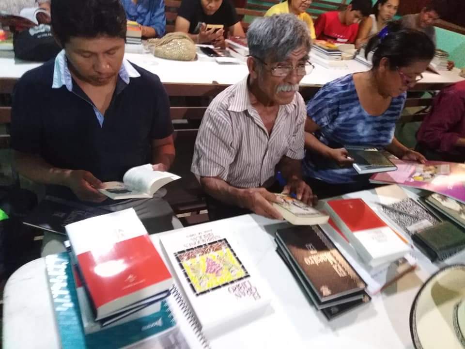 A dandelion in the grass is illuminated by a ray of sunlight